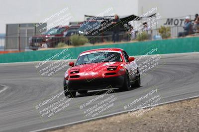 media/May-03-2025-Lucky Dog Racing (Sat) [[206de64b9d]]/Turn 4 B (1150am-130pm)/